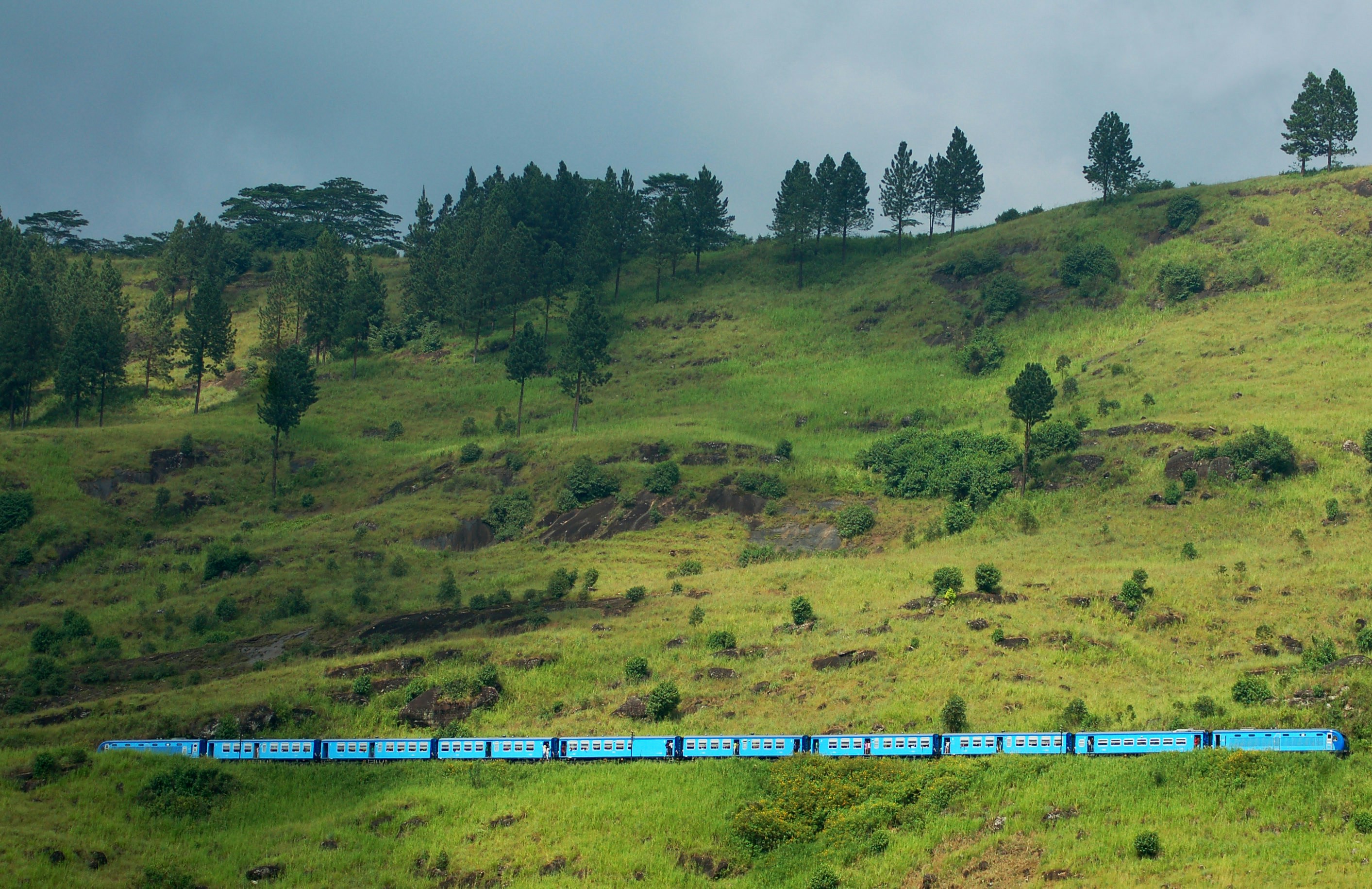 Photo by midnightink