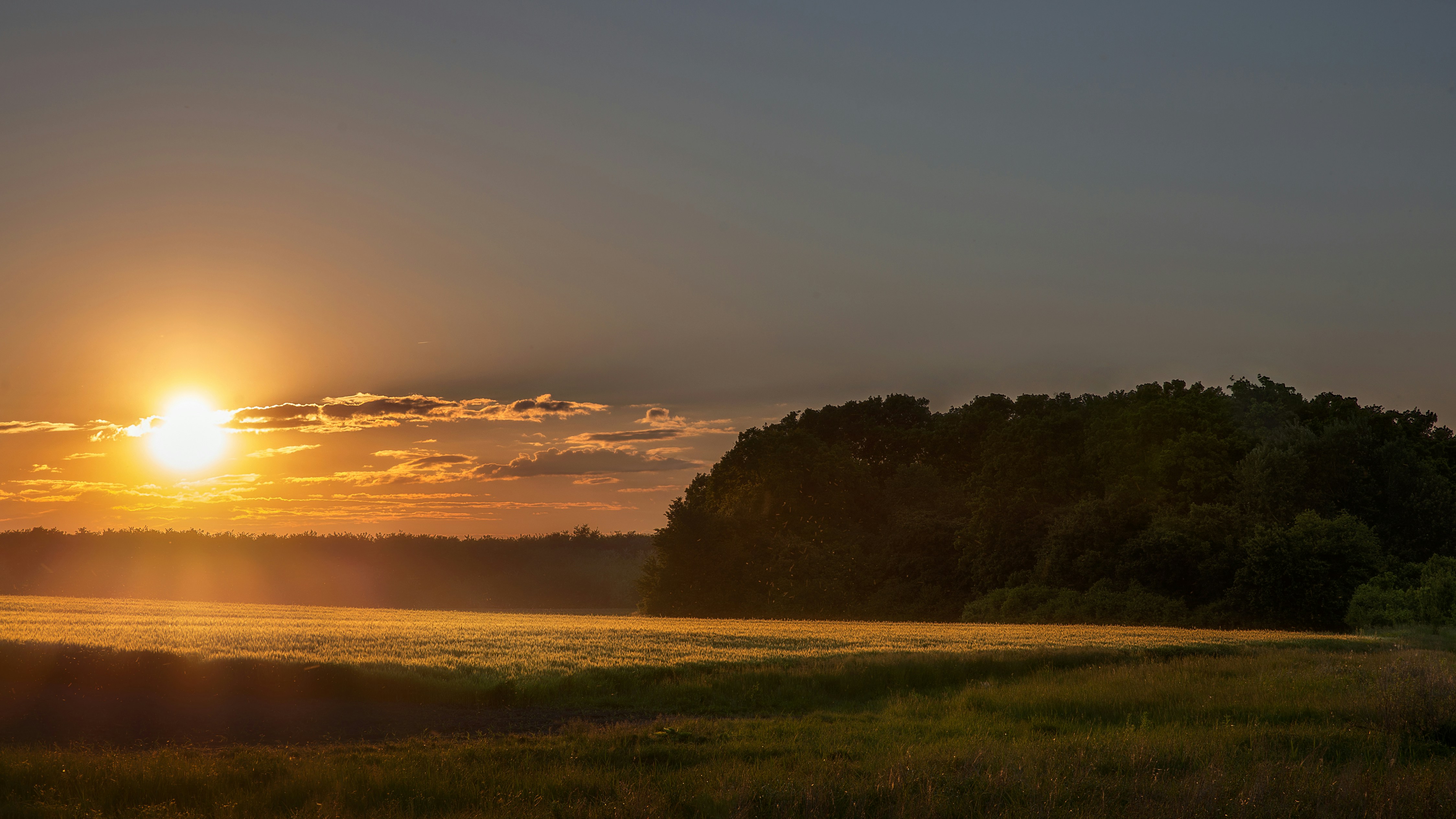 Photo by sylvester_s