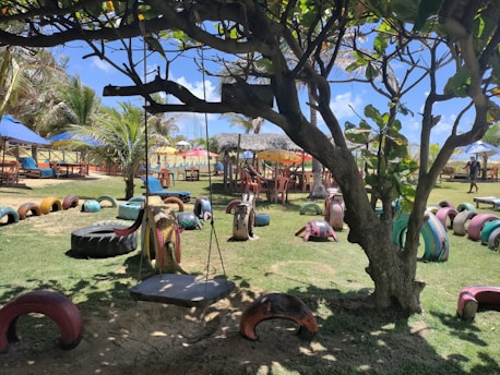 A playground with vibrant, colorful recycled tire structures arranged on the grass, including a swing hanging from a tree. There are tables and chairs set under umbrellas in the background, along with palm trees and clear blue skies, creating a lively outdoor setting.