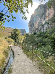 Explore Nature's Wonders