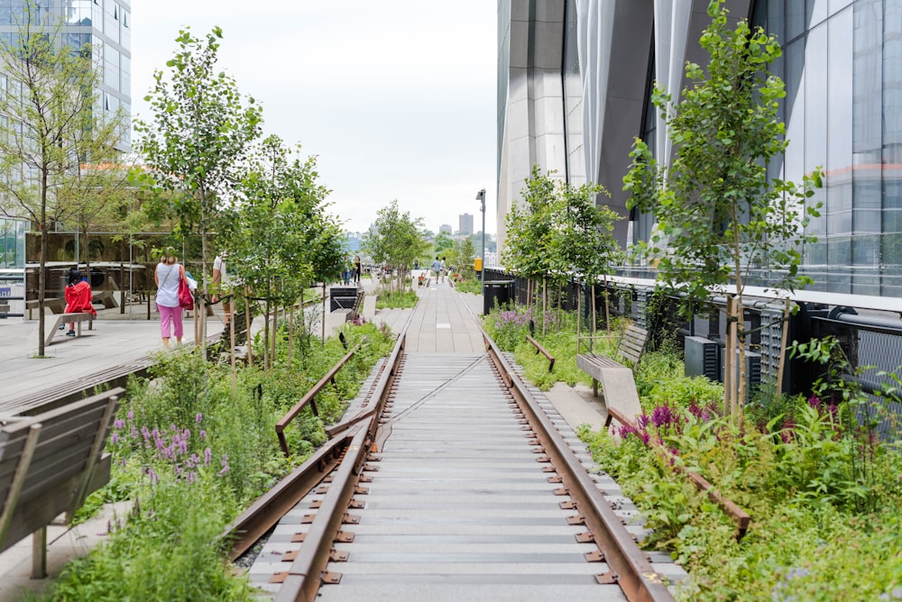 people walking on gray concrete pathway during daytime