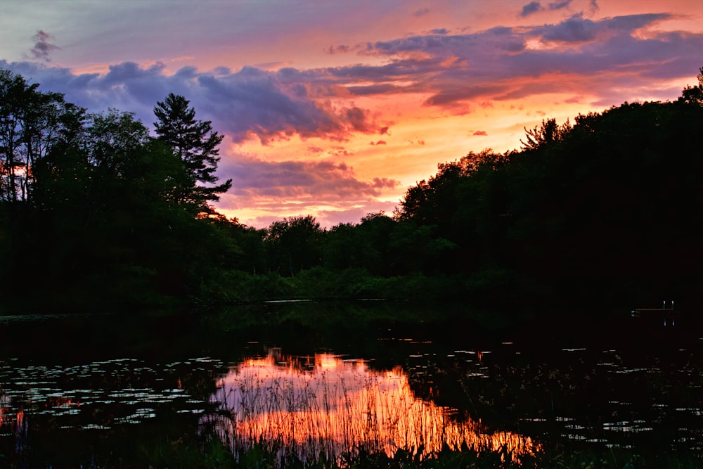 arbres verts au bord de la rivière au coucher du soleil