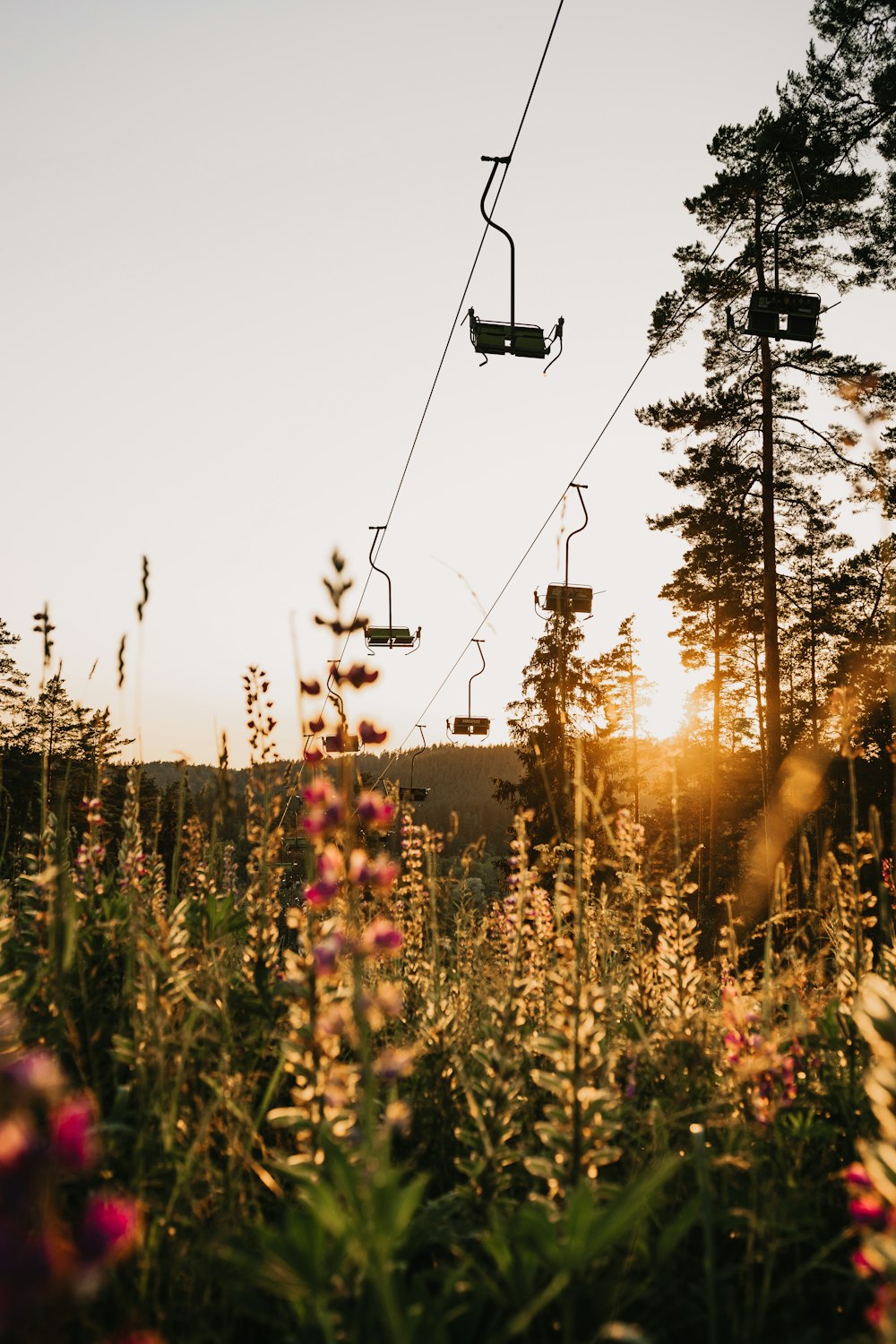 black cable cars over green grass field during daytime