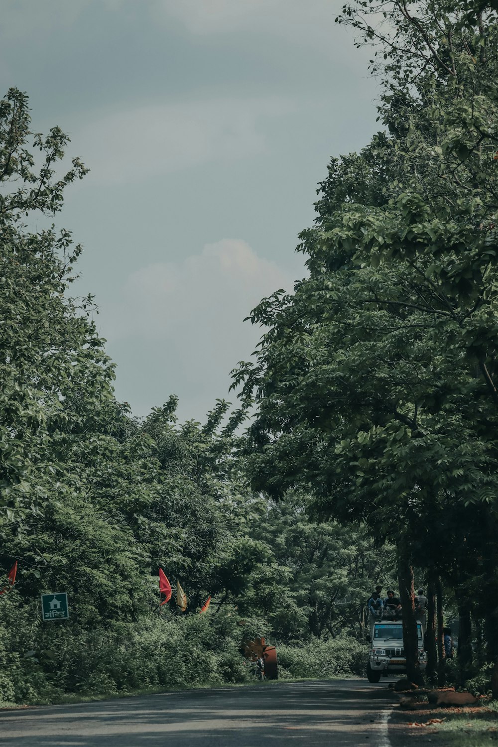 people walking on street near green trees during daytime