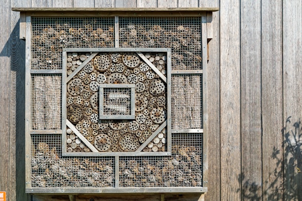 A wooden insect hotel mounted on a vertical wooden panel. The structure contains various sections filled with natural materials such as drilled logs, twigs, and small branches to create habitat spaces for insects. Each section is contained within a wire mesh to protect the materials inside.