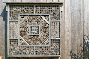 A wooden insect hotel mounted on a vertical wooden panel. The structure contains various sections filled with natural materials such as drilled logs, twigs, and small branches to create habitat spaces for insects. Each section is contained within a wire mesh to protect the materials inside.