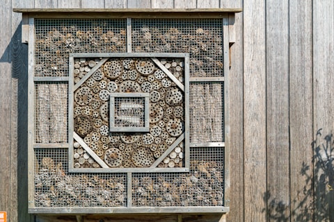 A wooden insect hotel mounted on a vertical wooden panel. The structure contains various sections filled with natural materials such as drilled logs, twigs, and small branches to create habitat spaces for insects. Each section is contained within a wire mesh to protect the materials inside.