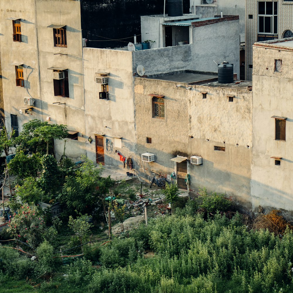 green trees beside beige concrete building during daytime