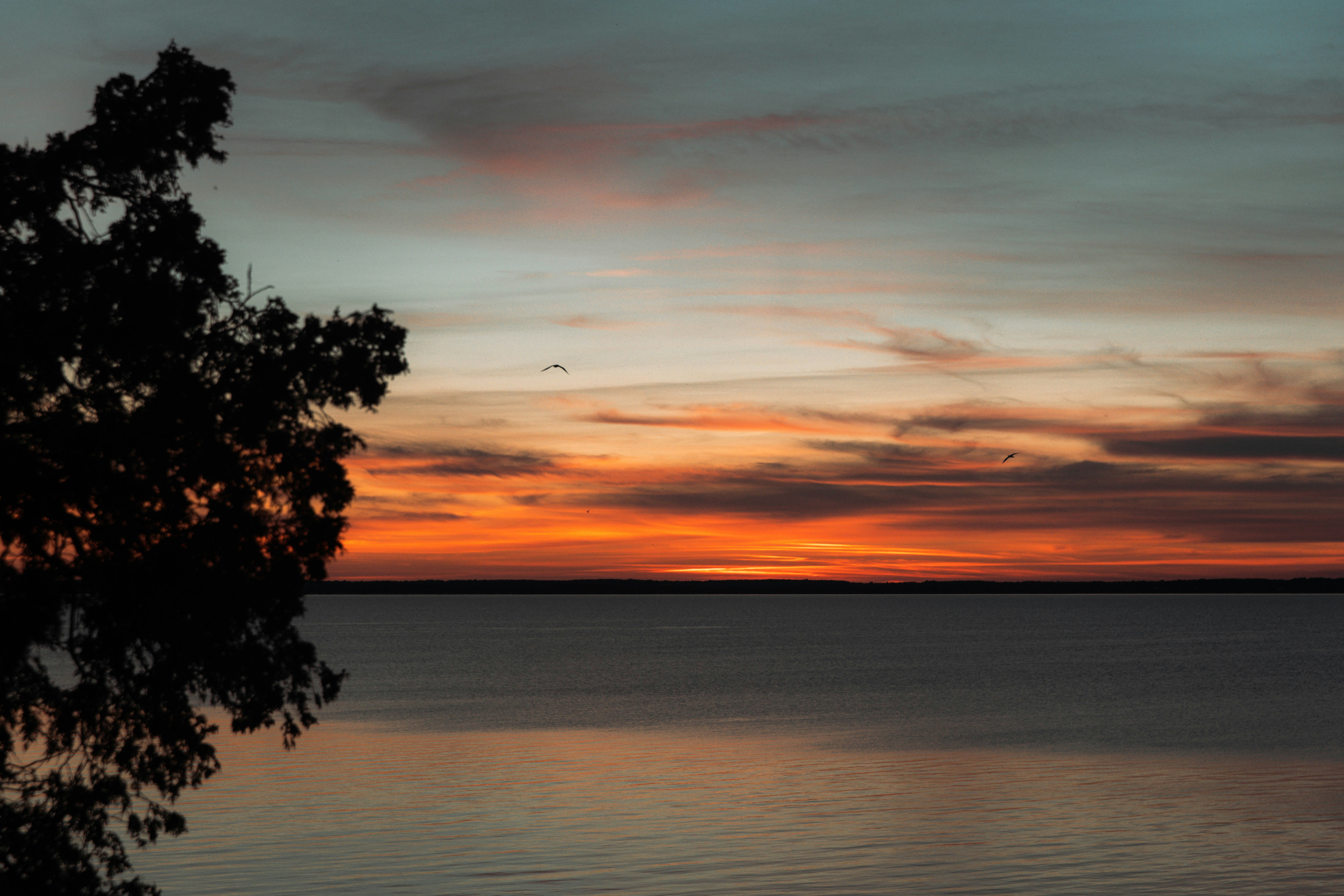 Photo by bradydrogers