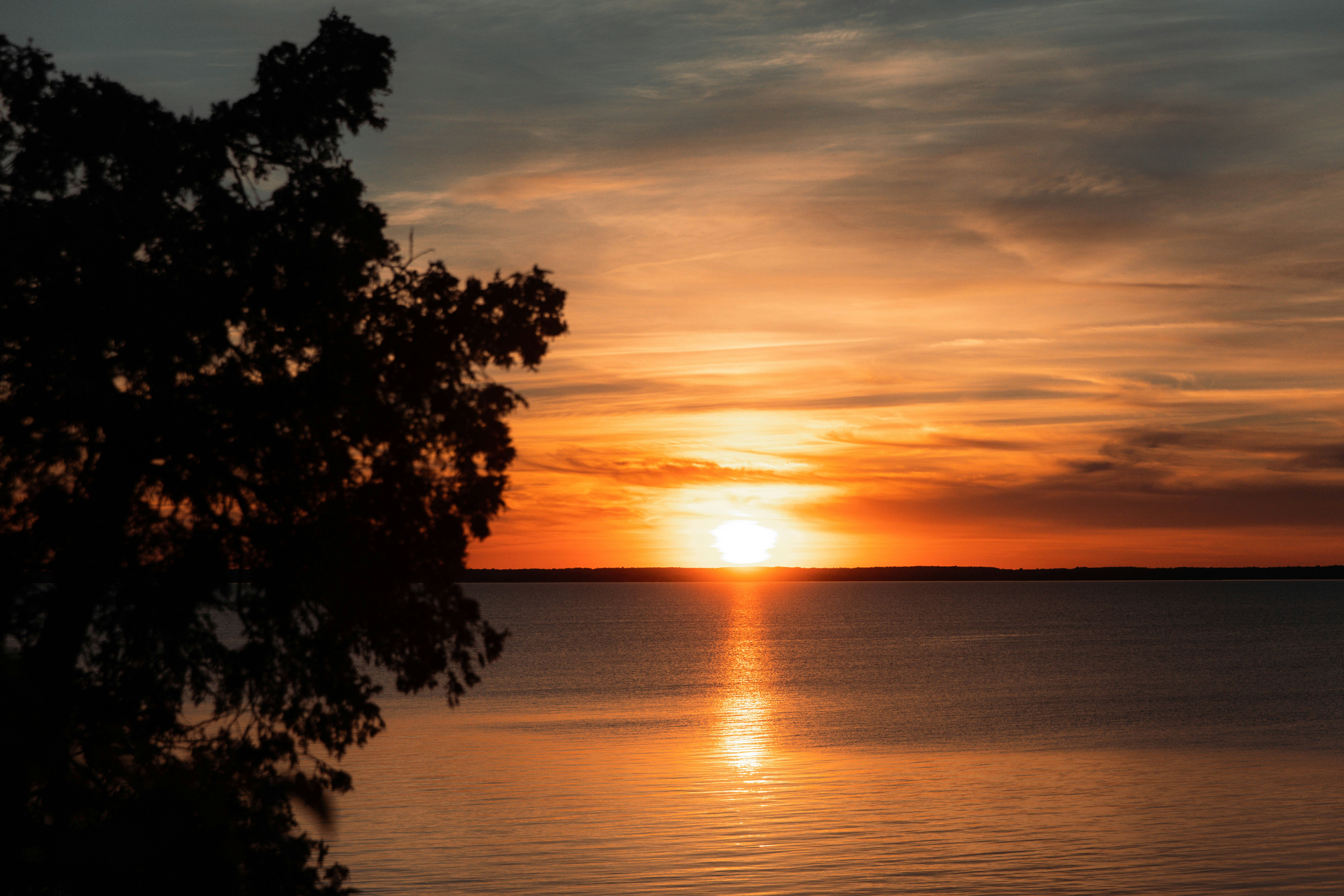 Photo by bradydrogers