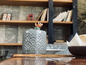 A sleek modern ceramic pot holding a vibrant succulent on a wooden shelf.