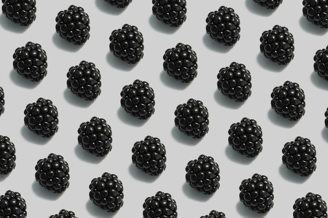 black berries on white background