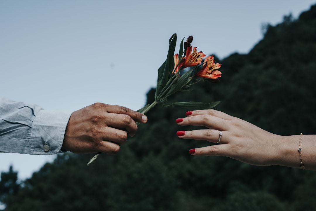 person holding red and green flower