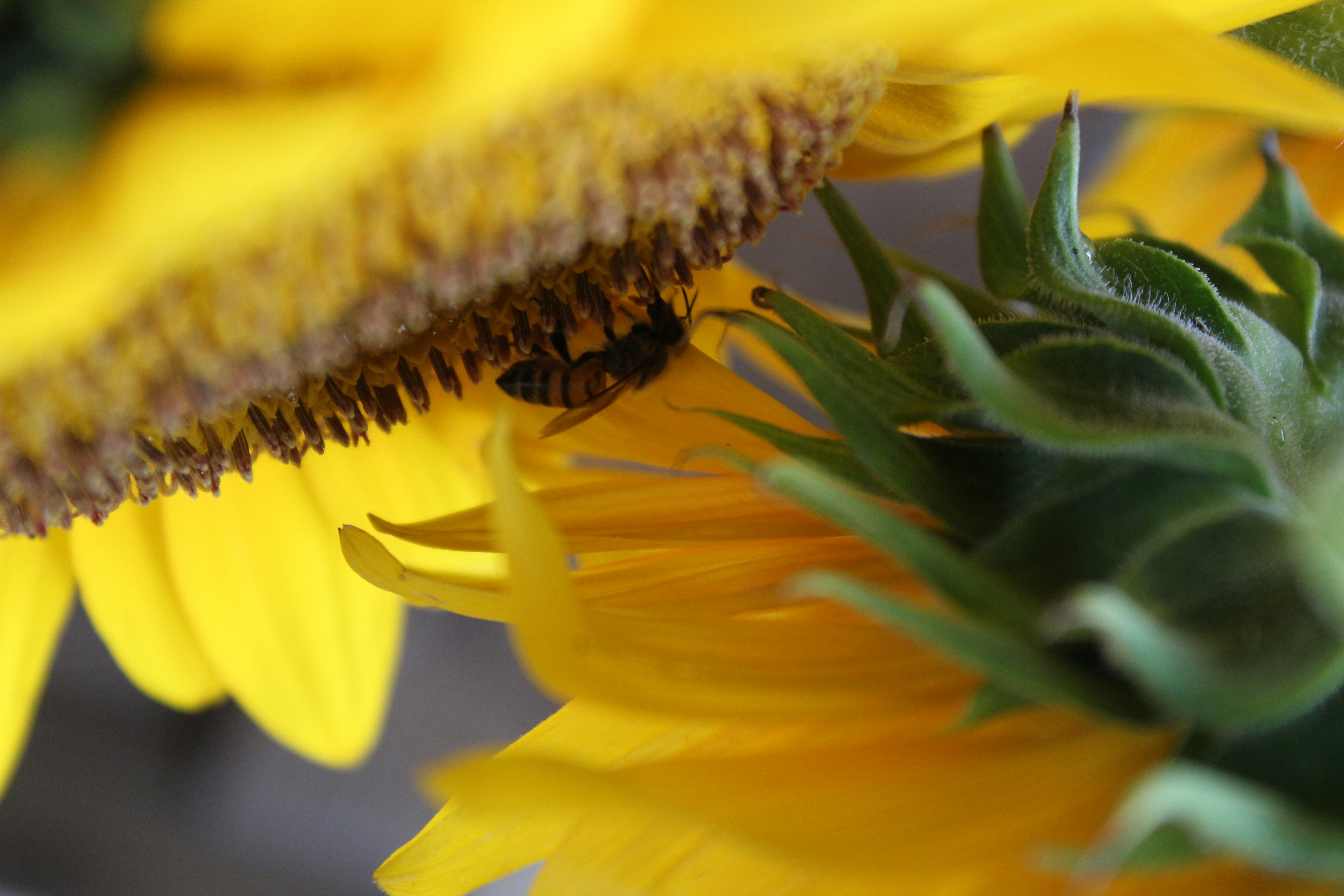 Photo by loaizaperez