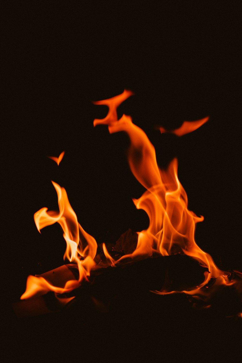 Feu dans l’obscurité pendant la nuit