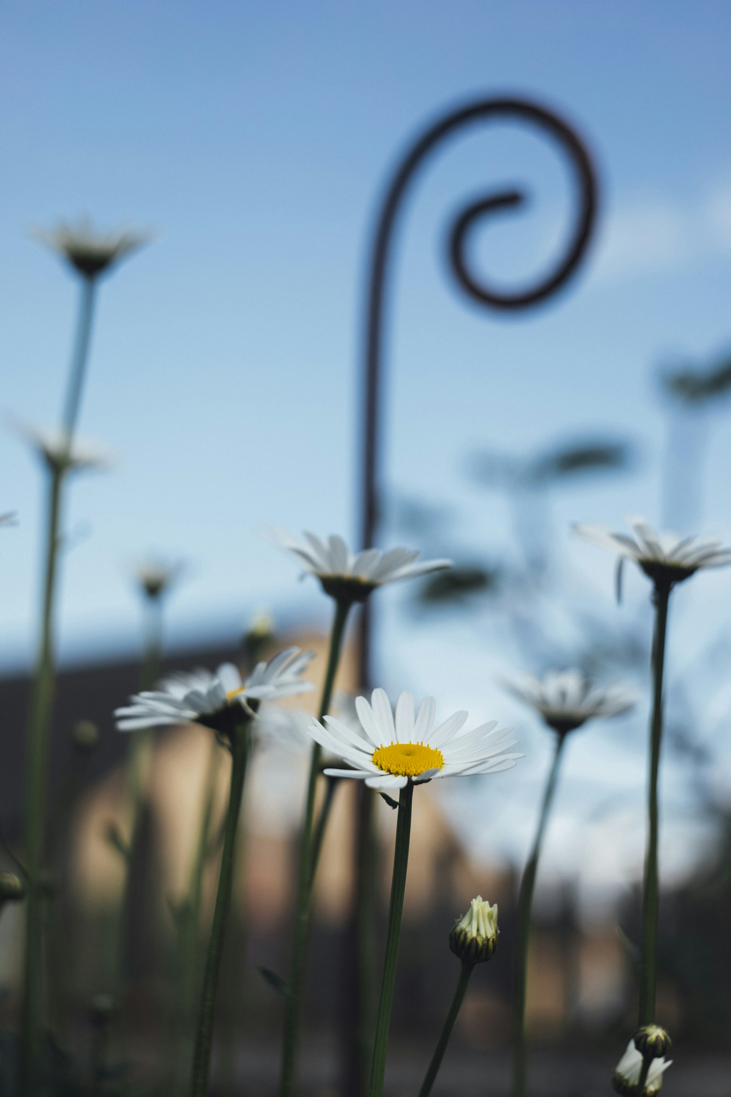 Photo by markusspiske