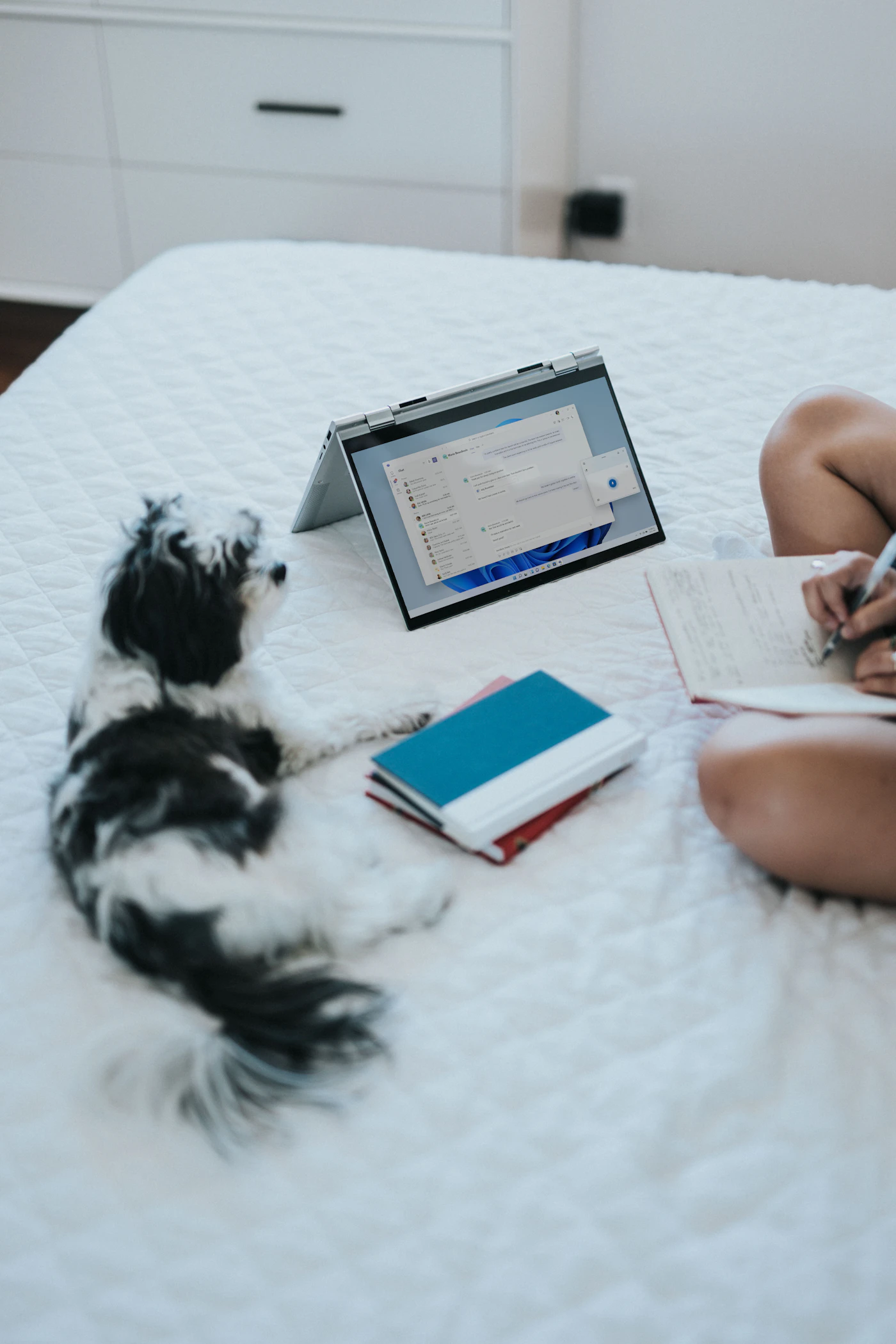 A dog resting beside a tablet and its owner