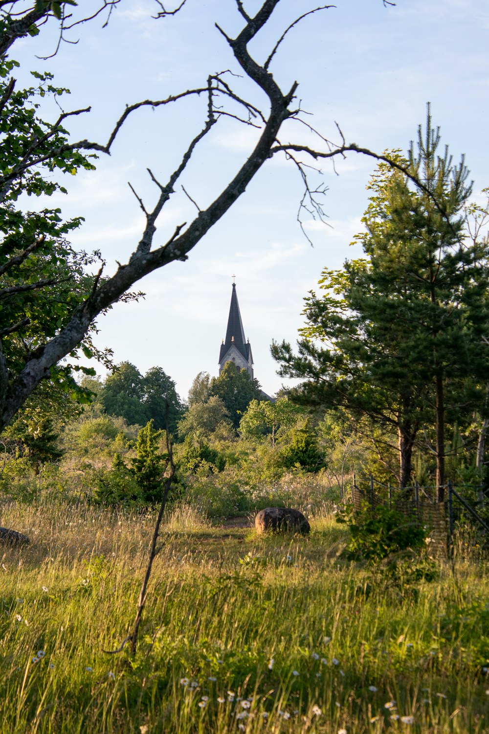 green grass field with trees and a view of a gray tower