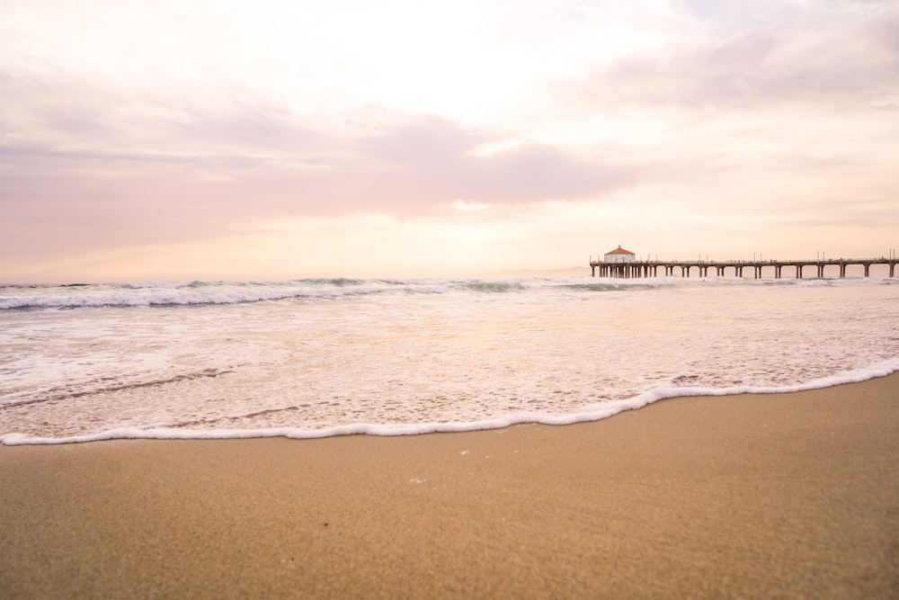 people on beach during daytime