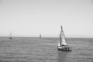 Sailboats gliding on a calm sea under a clear blue sky during a club regatta