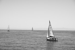 Sailboats gently floating in the calm harbor under a clear sky.