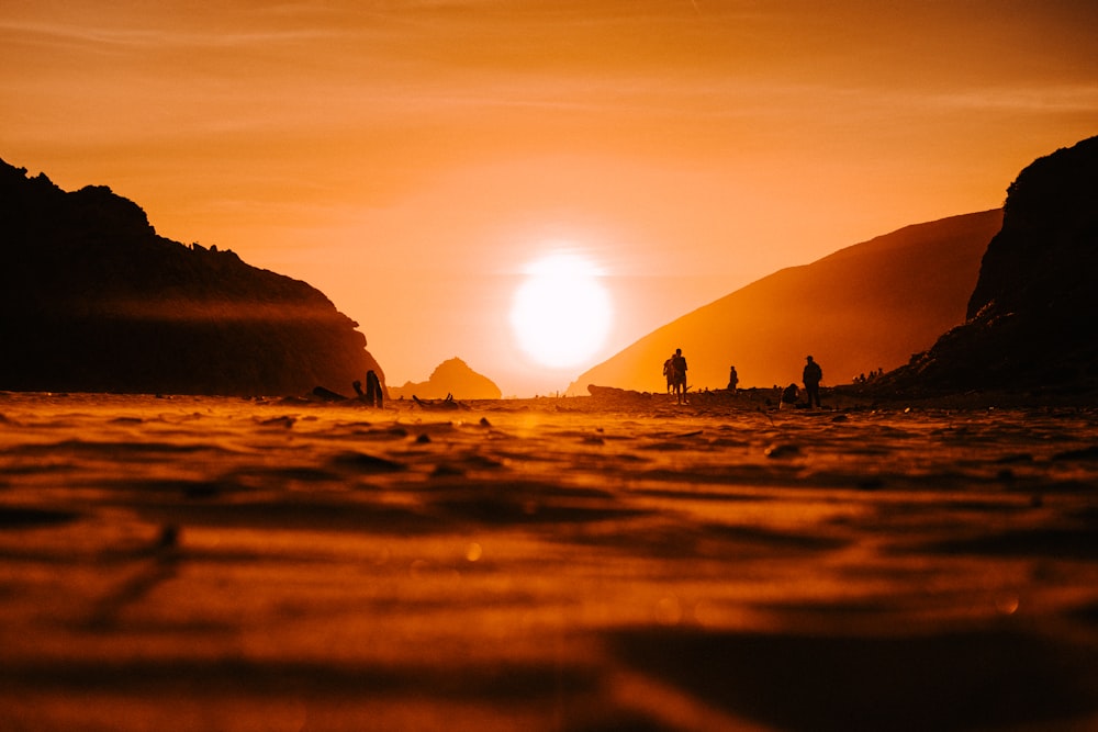 silhouette of people on beach during sunset