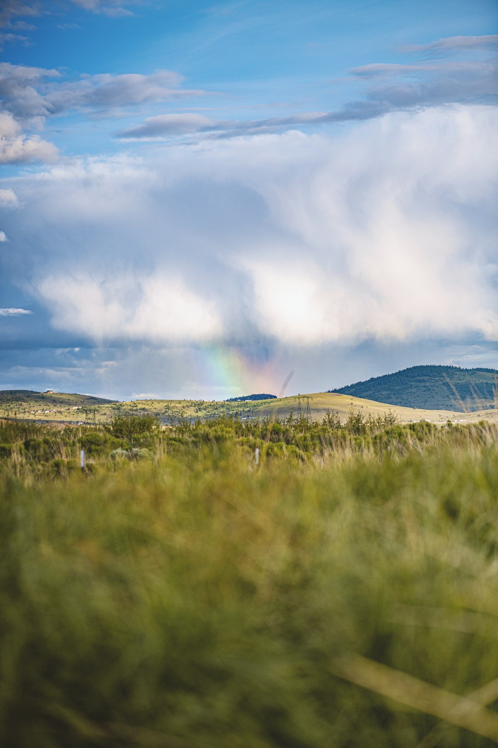 green grass field near blue mountain under white clouds and blue sky during daytime