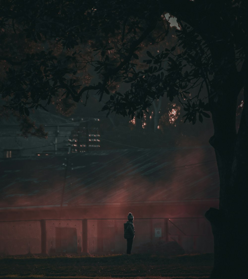 silhouette of man standing near tree during night time