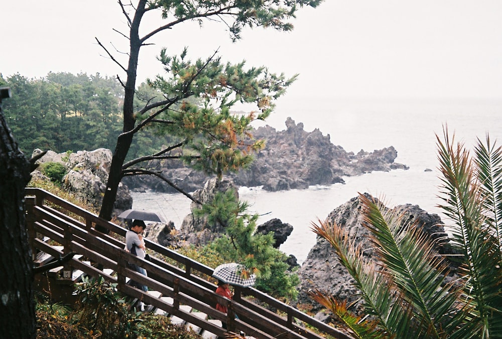 people sitting on brown wooden bench near body of water during daytime