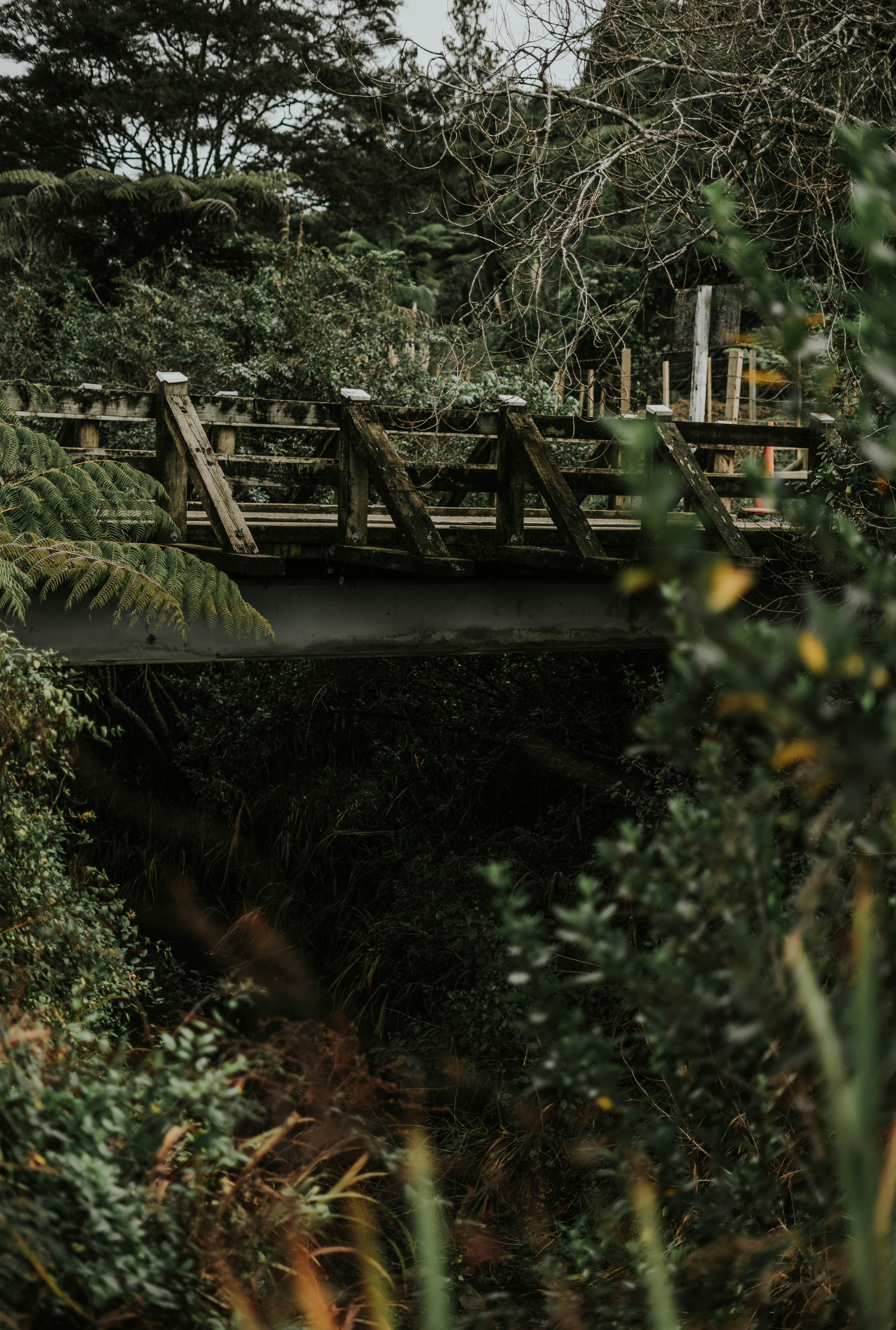 Photo by annie_dogger