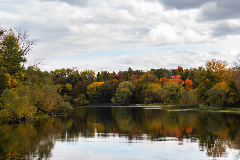 green and brown trees beside lake under white clouds and blue sky during daytime