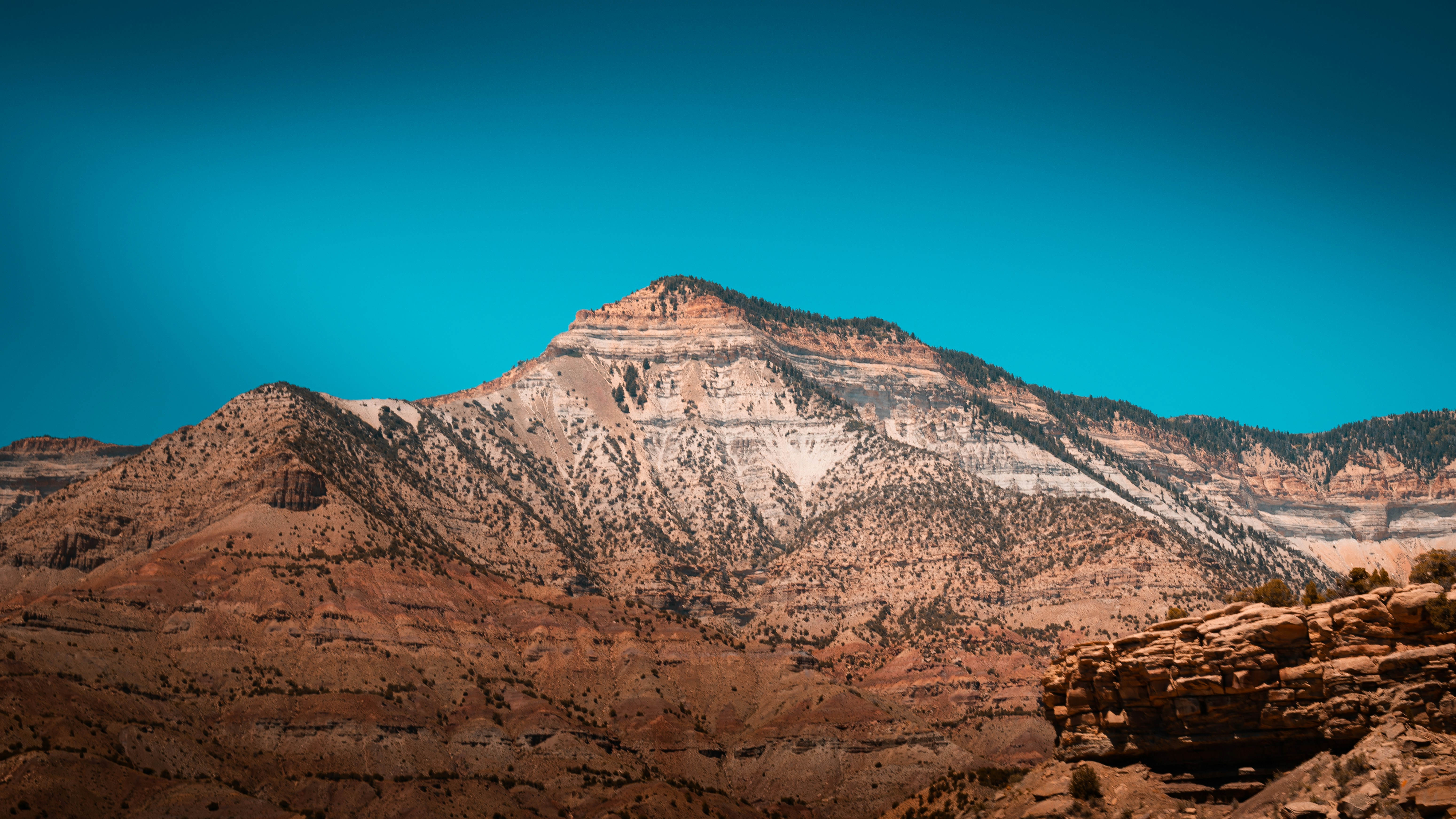 Photo by photosoflogan