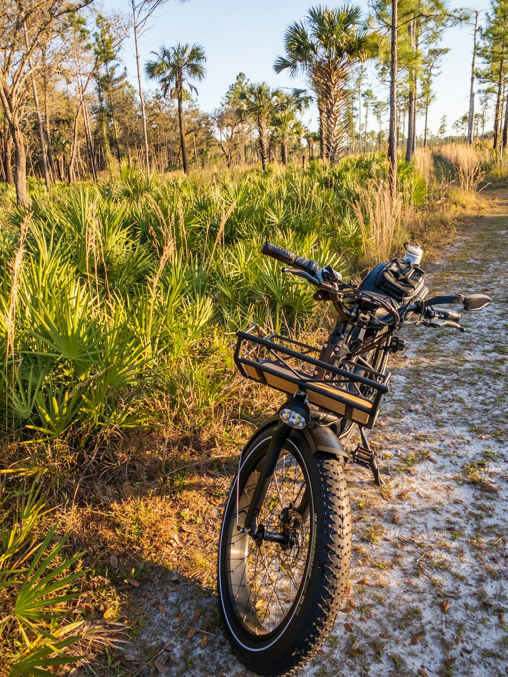 Schwarzes Fahrrad auf Feldweg