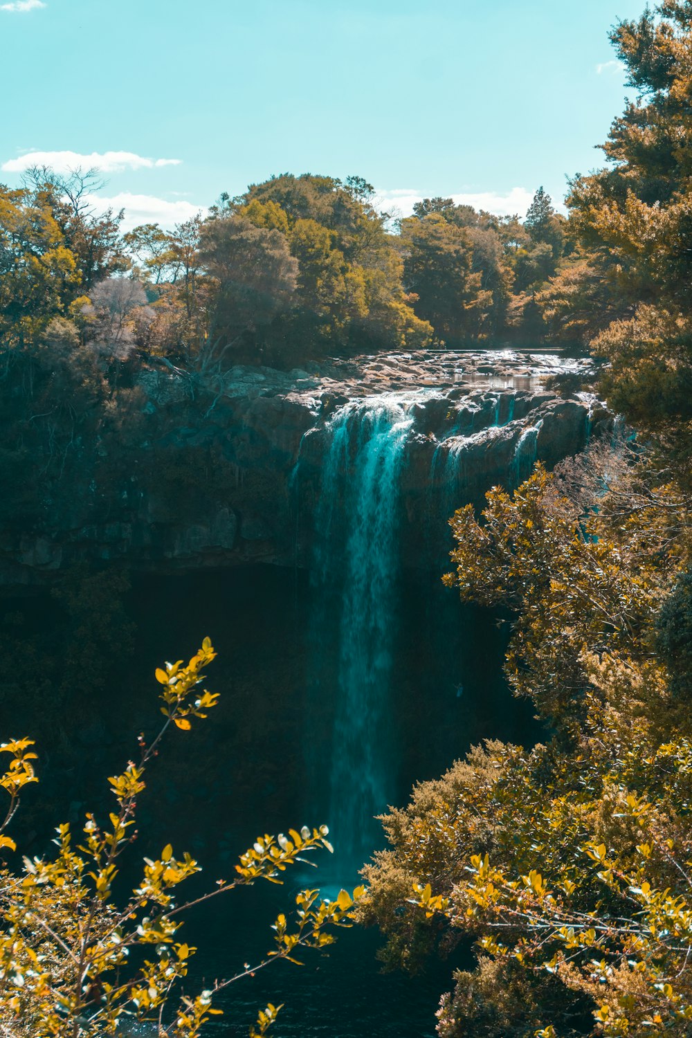 water falls in the middle of forest