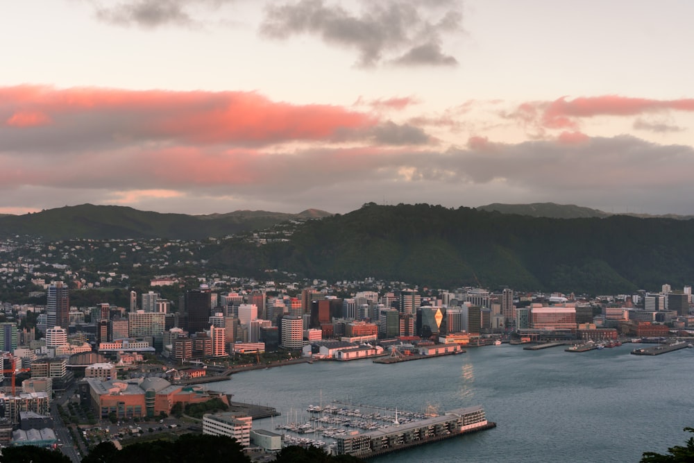 city skyline near body of water during sunset