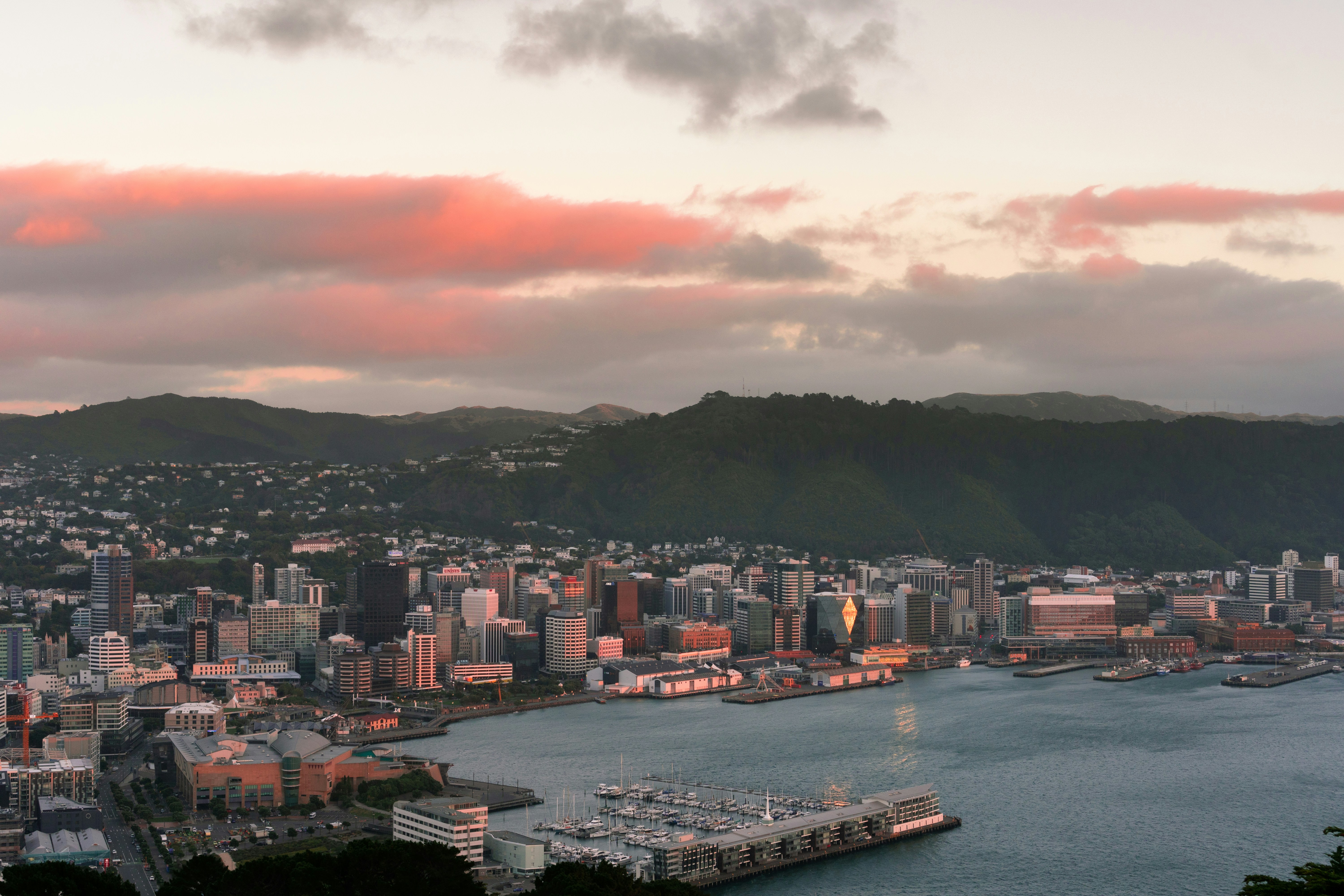 Wellington, New Zealand