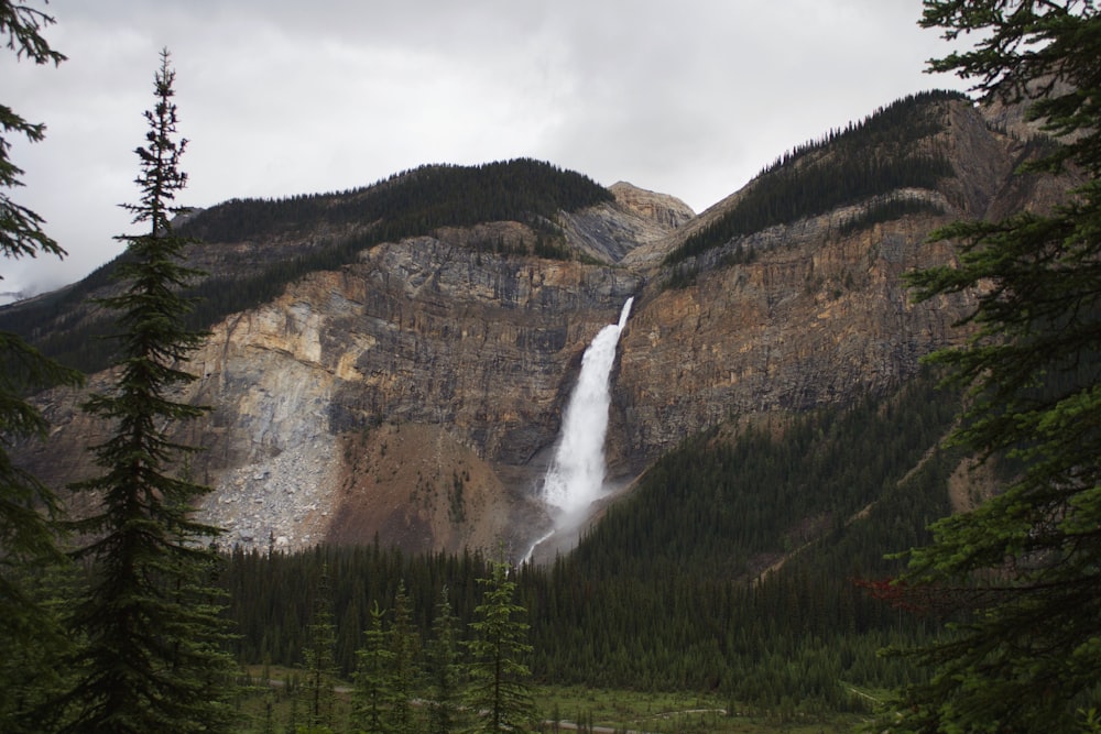 waterfalls in the middle of green trees and brown mountain