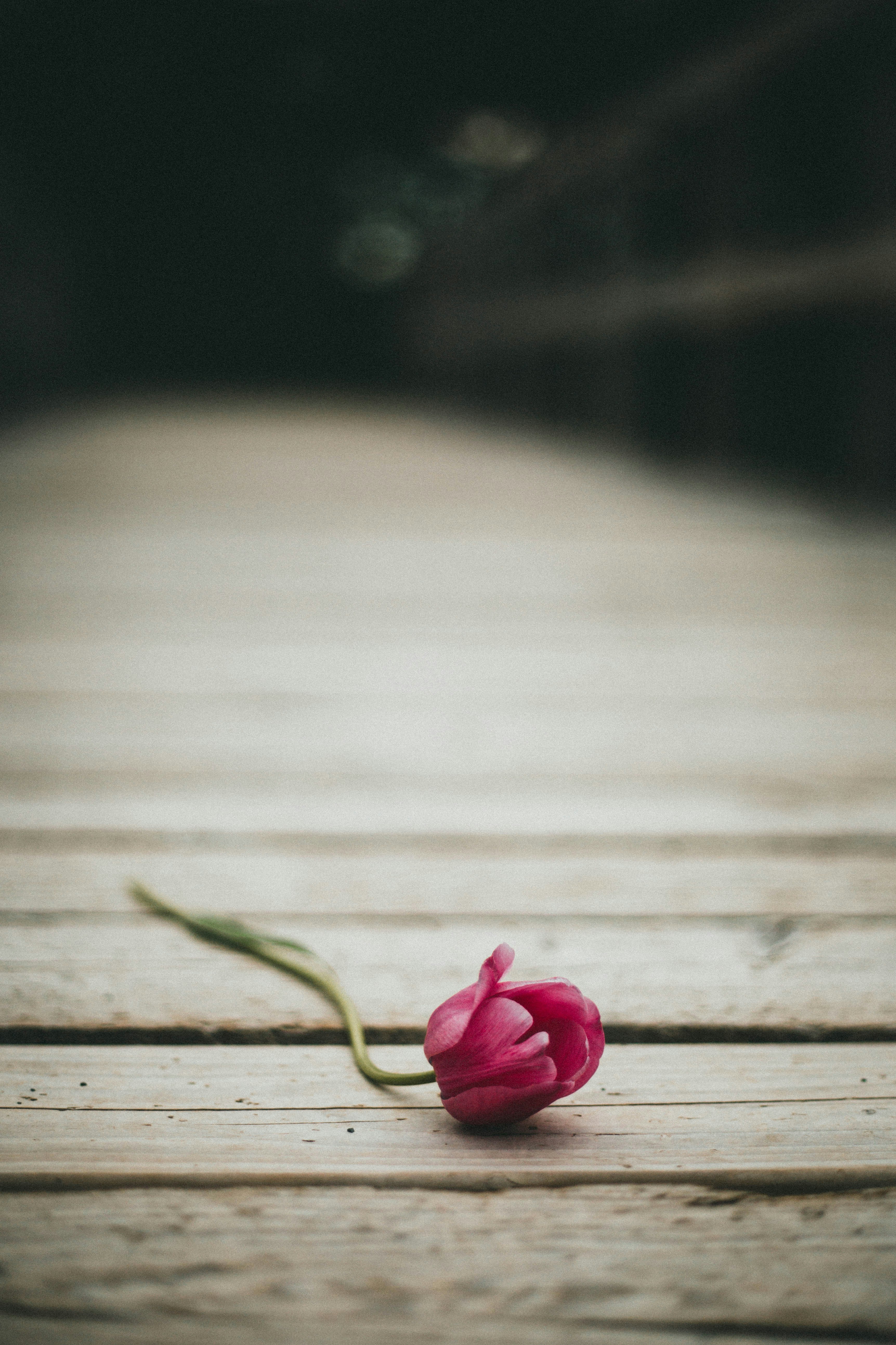 Photo by theshuttervision