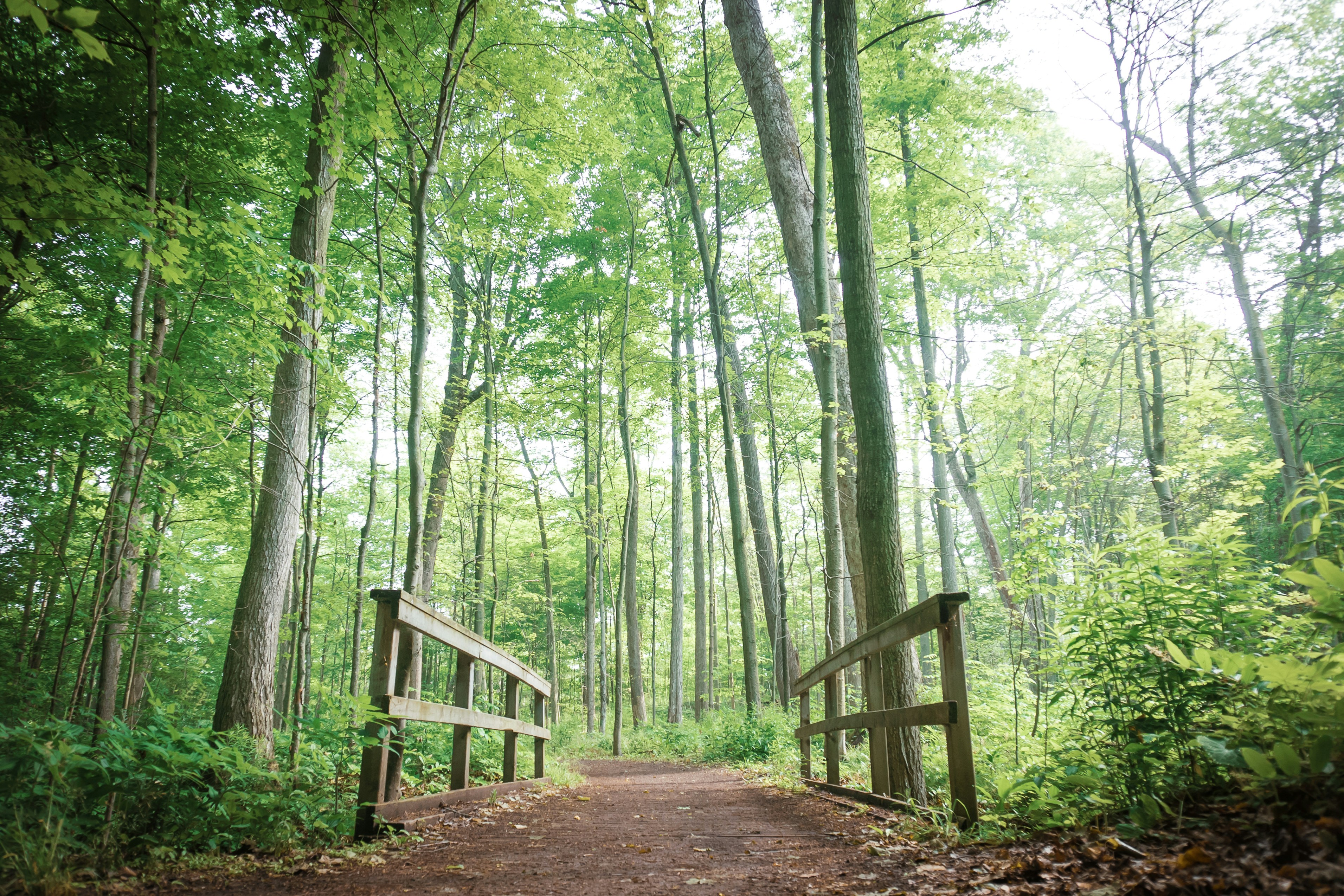 Photo by michael_g_krahn