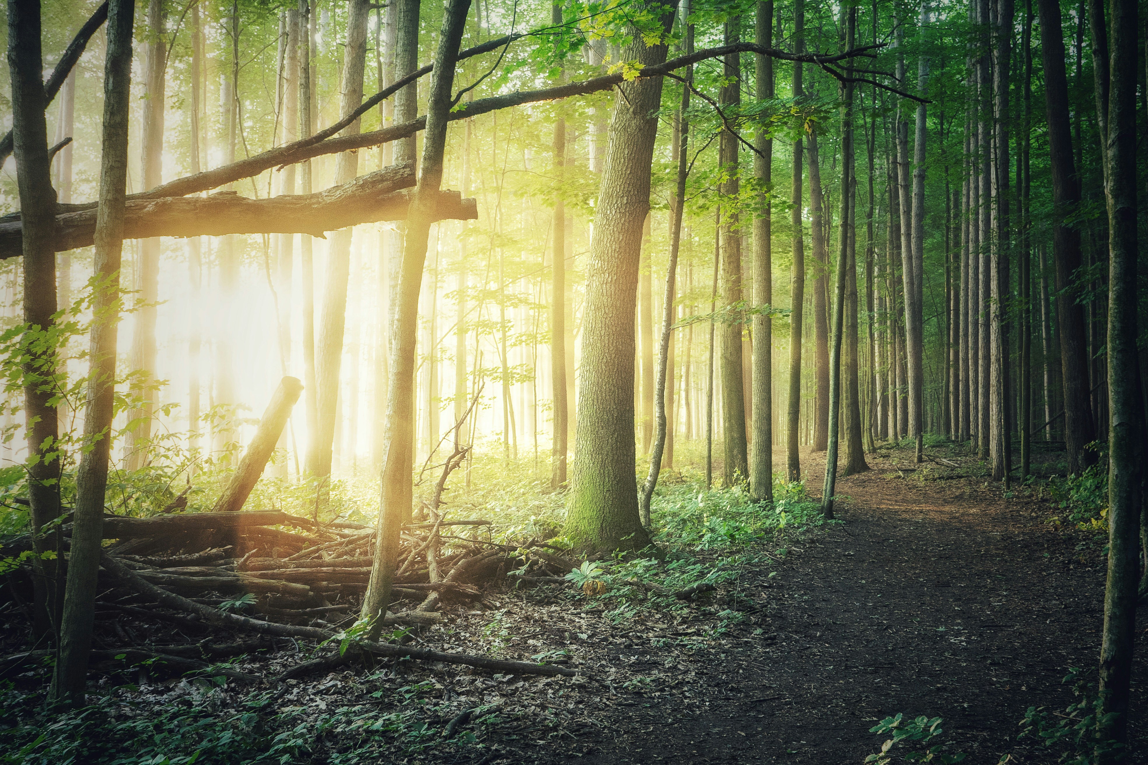 Photo by michael_g_krahn