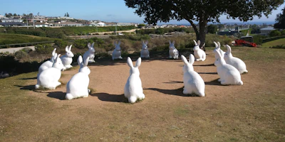 An outdoor installation featuring colorful rabbit figures arranged in a forest clearing.