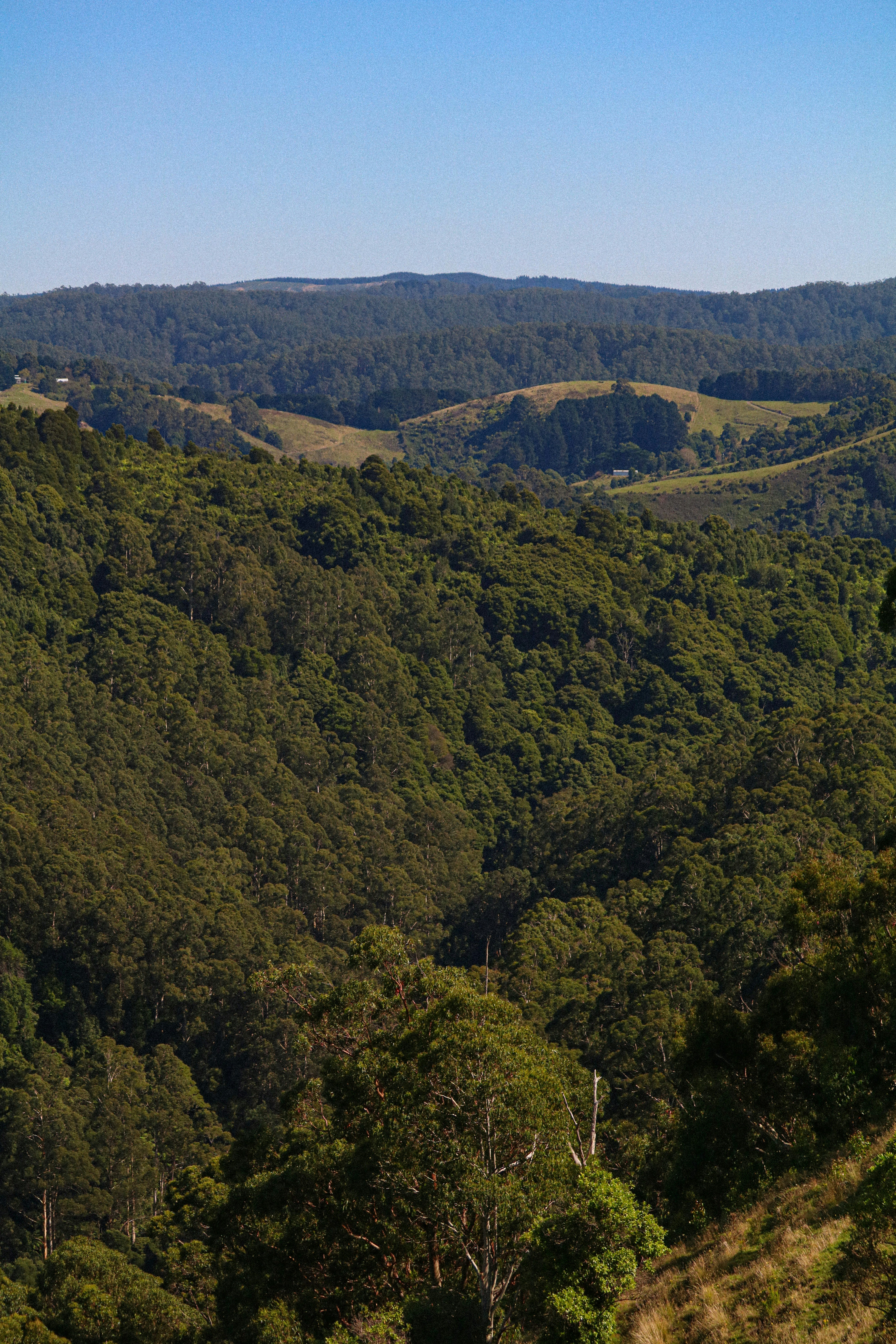 Photo by ashadvantures