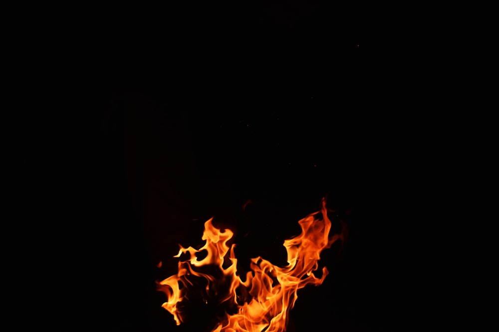 orange fire in black background