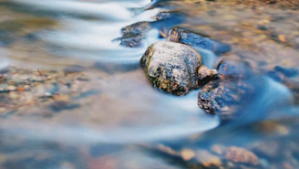 black and gray stone on water