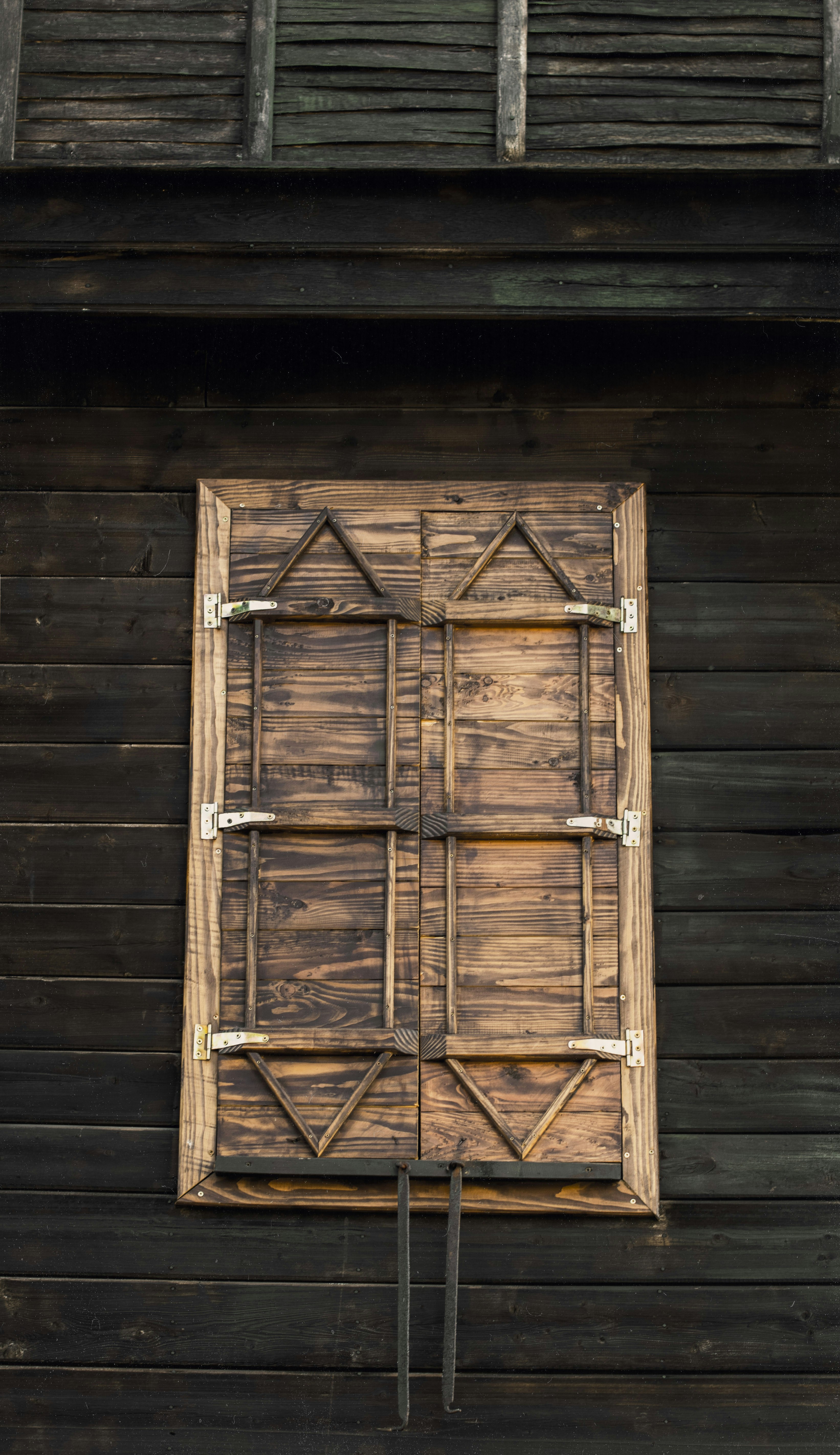 Photo by danielabeleva