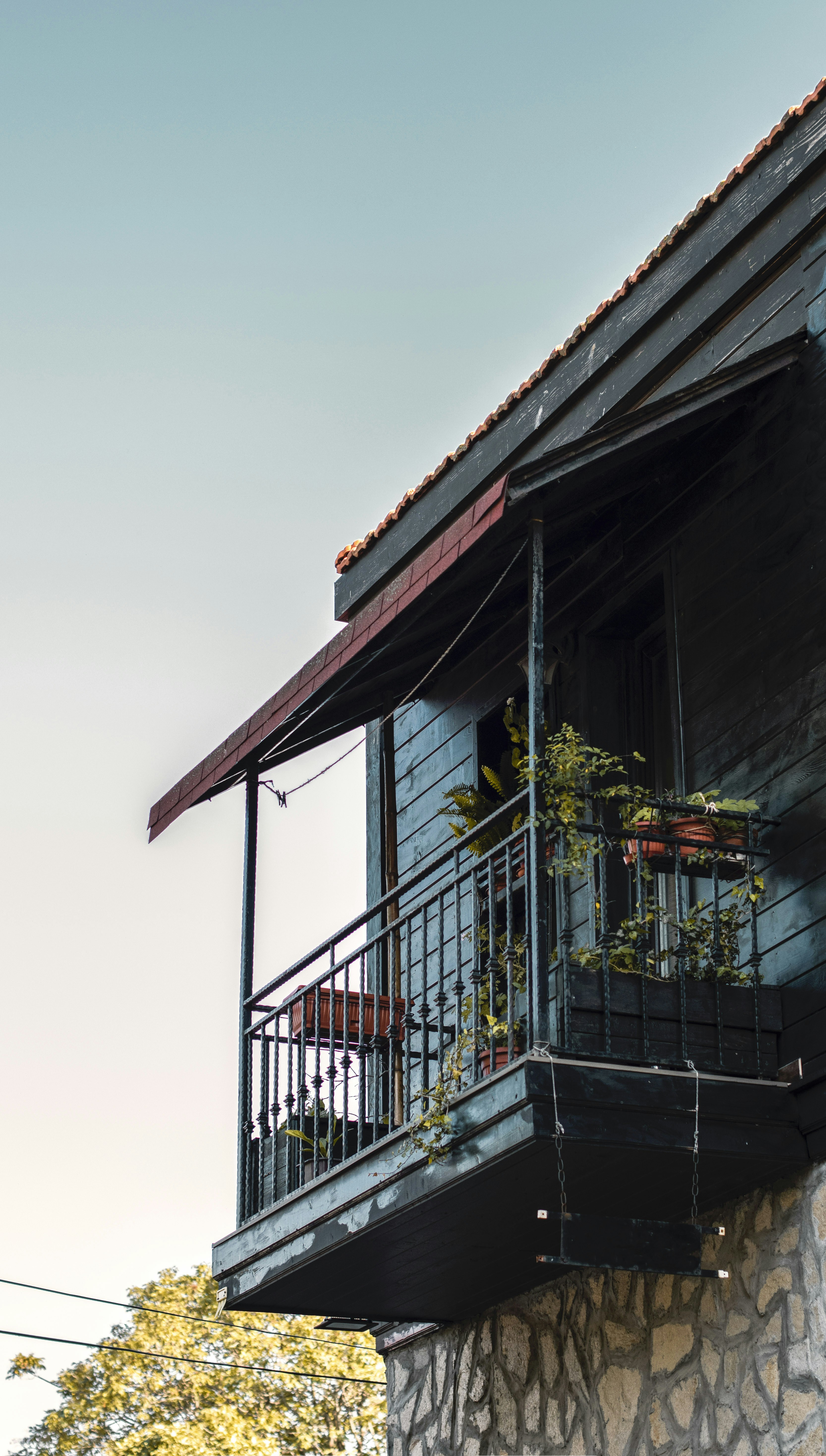 Photo by danielabeleva