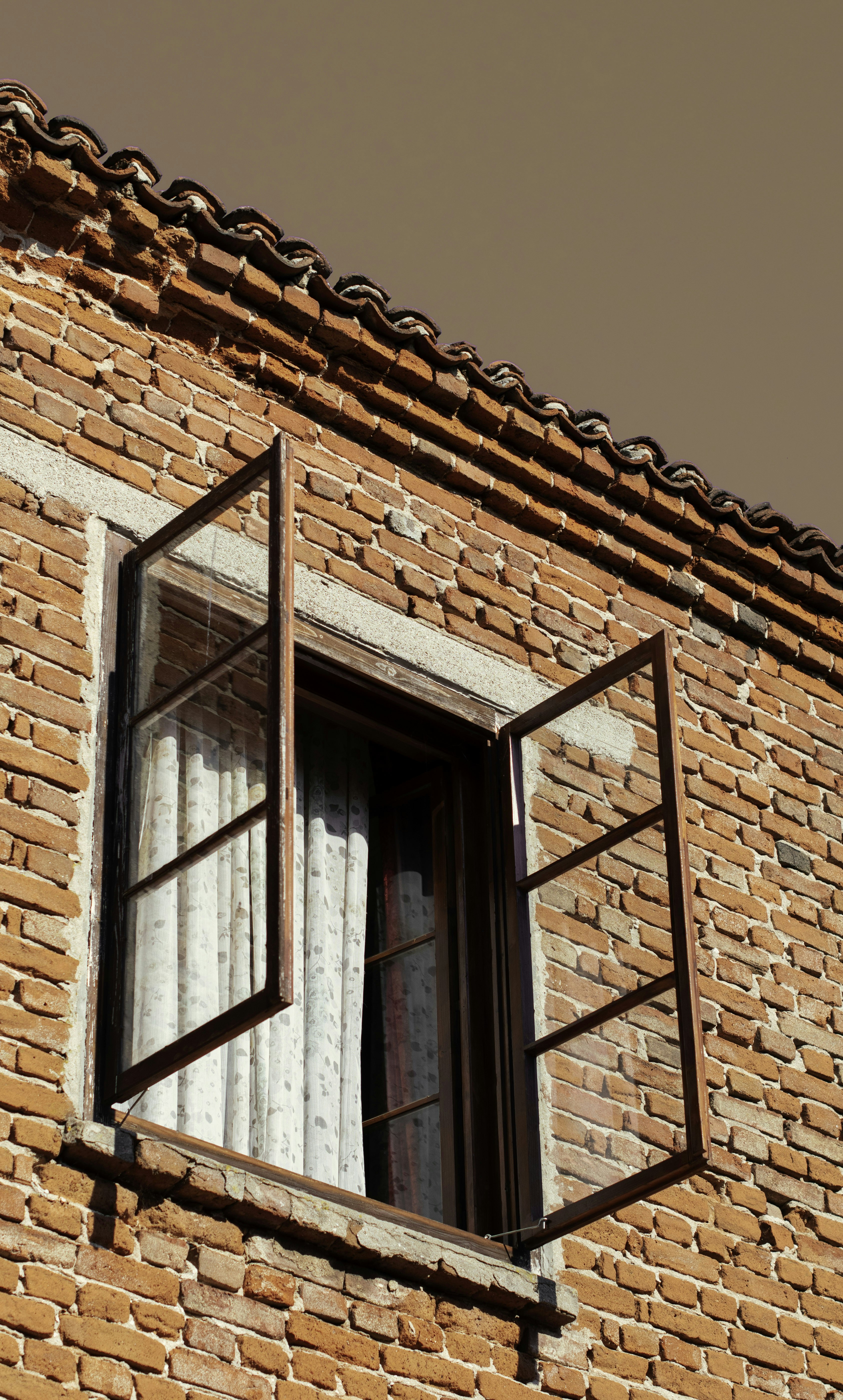 Photo by danielabeleva