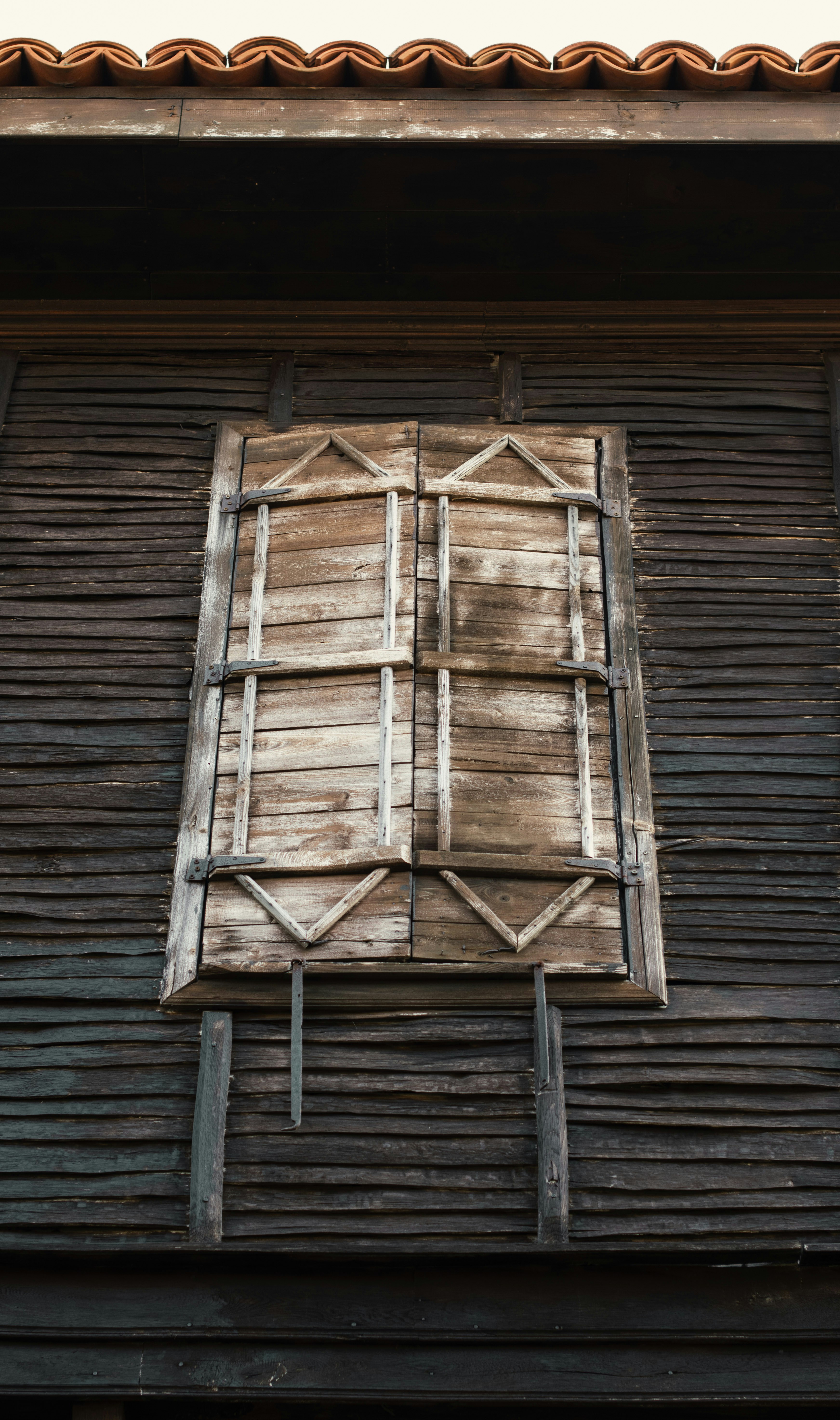 Photo by danielabeleva