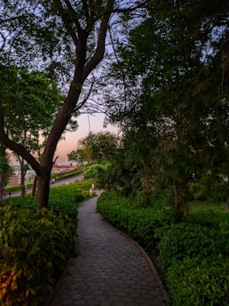 Lush landscaped gardens with walking paths and ambient lighting at twilight.