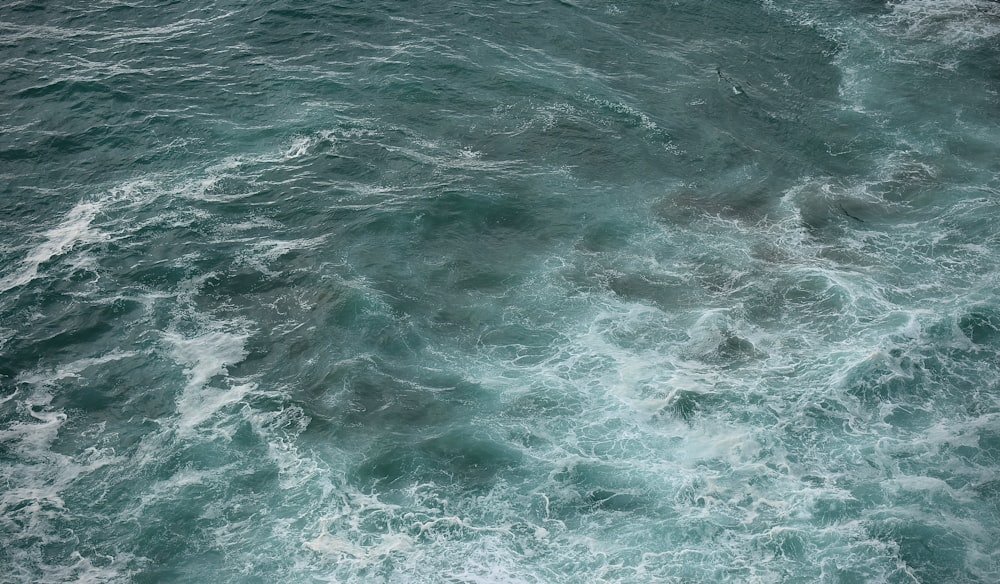 body of water during daytime